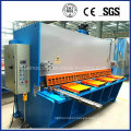 Metal Sheet Hydraulic Guillotine (RAS328, capacity: 8X3200)